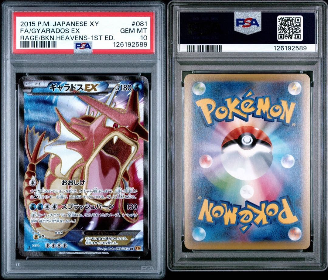 【PSA10】ギャラドスEX SR XY9 破天の怒り 081/080