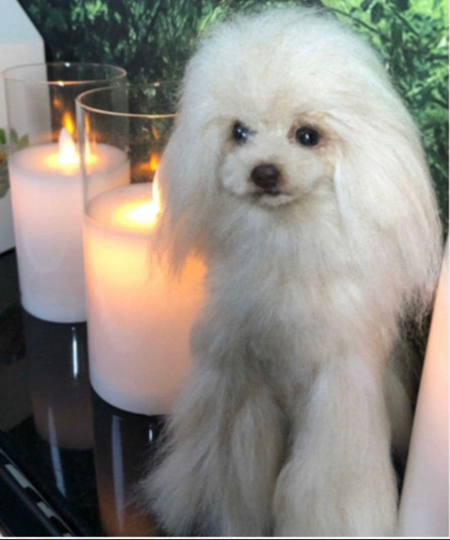 R*o様 トイプードル アートドール