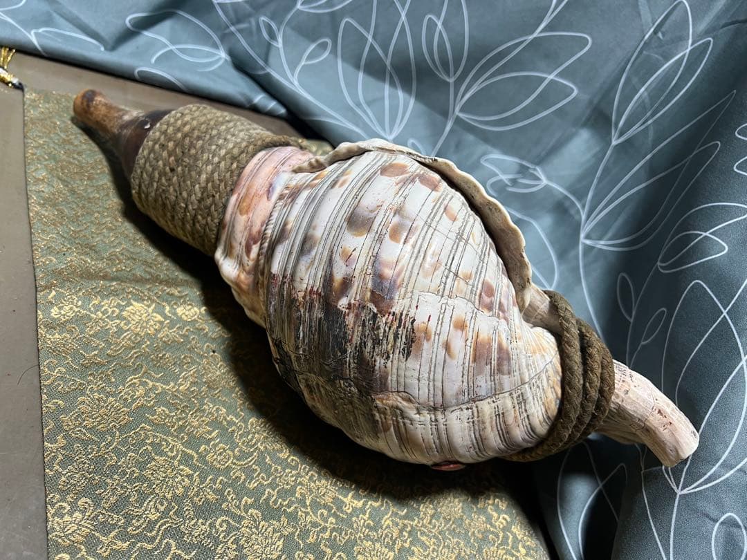 ほら貝 法螺貝 和楽器 貝殻製の楽器