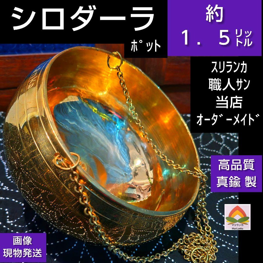 ２７♦k 様 フォロー割お値段です♦シロダーラ ポット 約１．５㍑