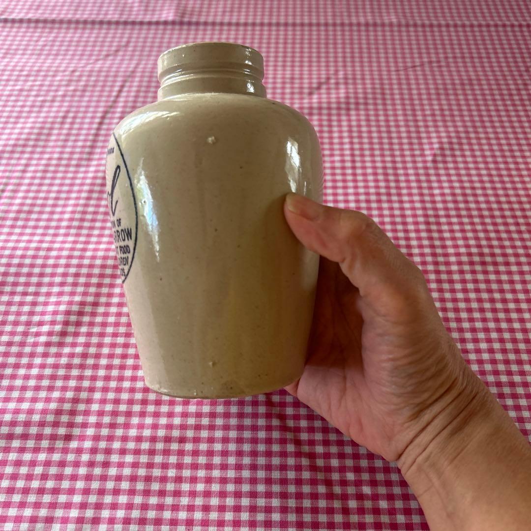 イギリスアンティーク　ヴァイロール　　骨にぎり大小セット