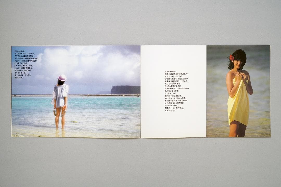 キヤノン　全自動一眼レフフイルムカメラ　T-50　オートマン　カタログ　A