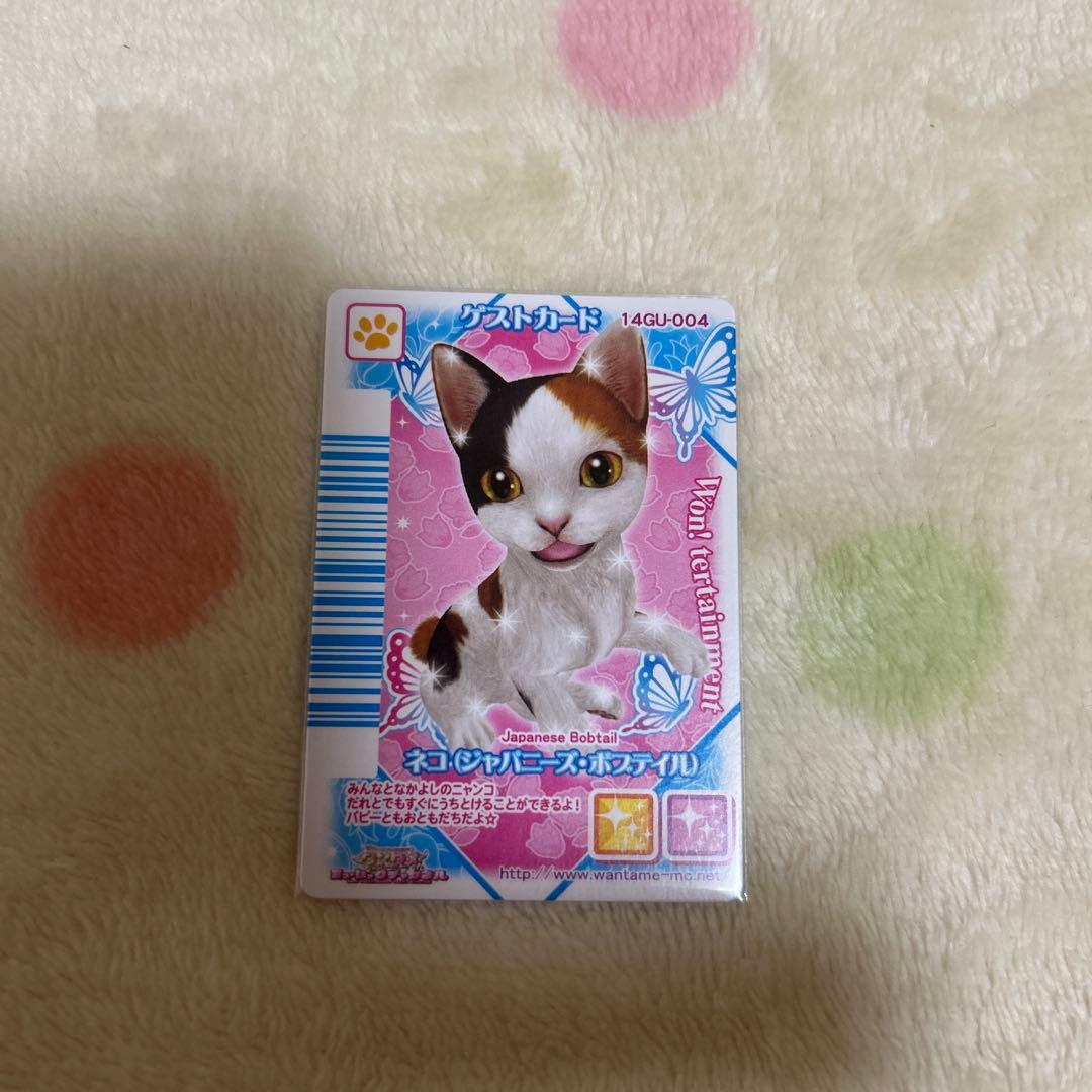 期間限定大幅値下げワンタメカード　ゲストカードネコ裏表カード
