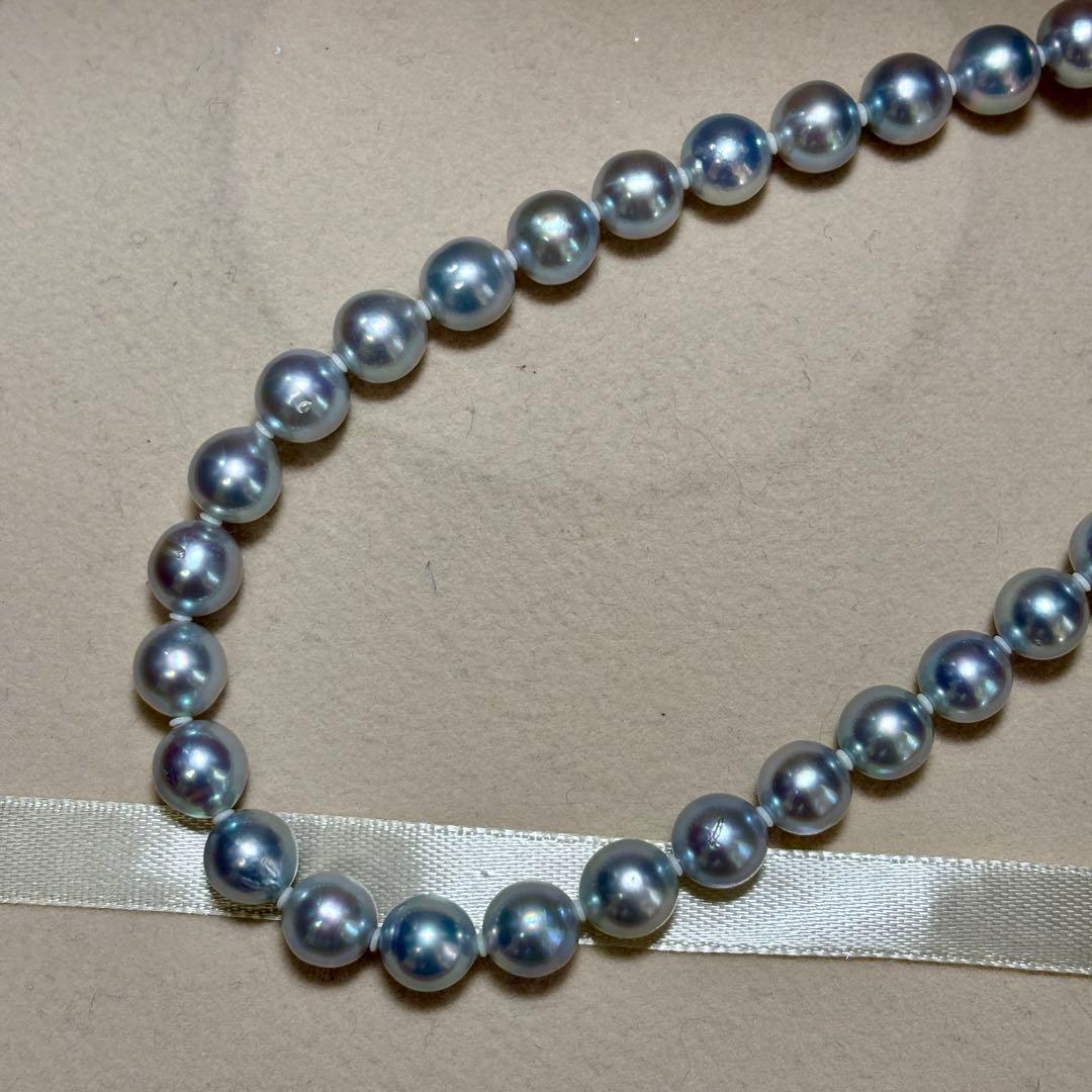 【テリ強 ✨鑑別書付き】あこや真珠　ブルーグレー　約8.0-8.5mm 本真珠