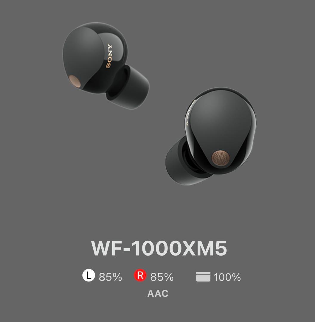 SONY ソニー WF-1000XM5 ワイヤレスイヤホン ブラック