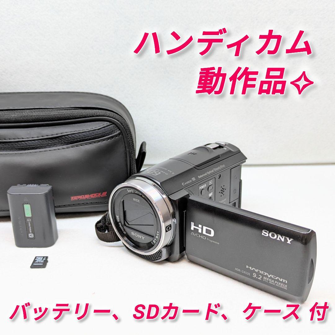 ソニー ハンディカム HDR-CX535 動作品 SONY HANDYCAM