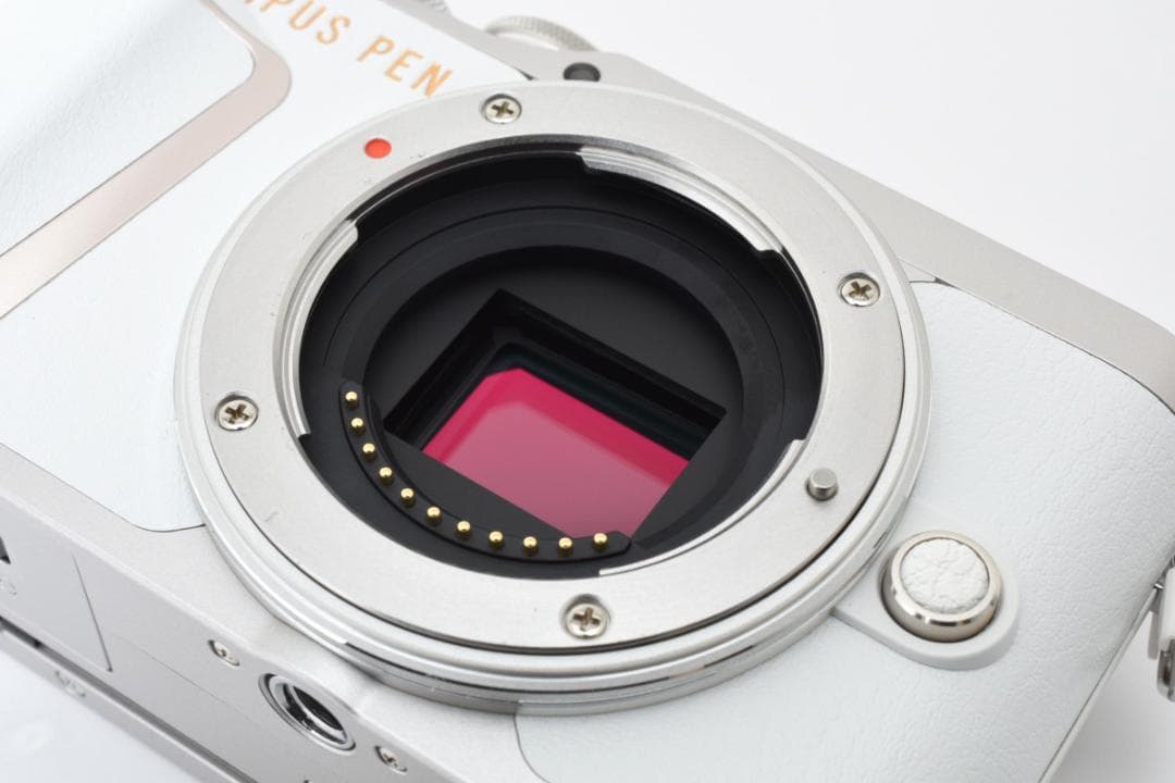 【新品級】OLYMPUS オリンパス PEN E-PL10 ダブルレンズ