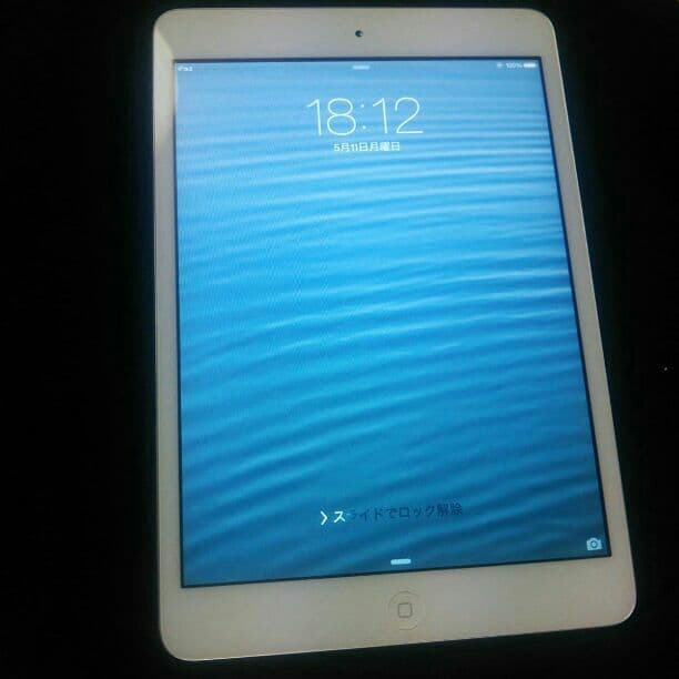 iPad mini Wi-Fi  16GB  White ￥22000送料込み