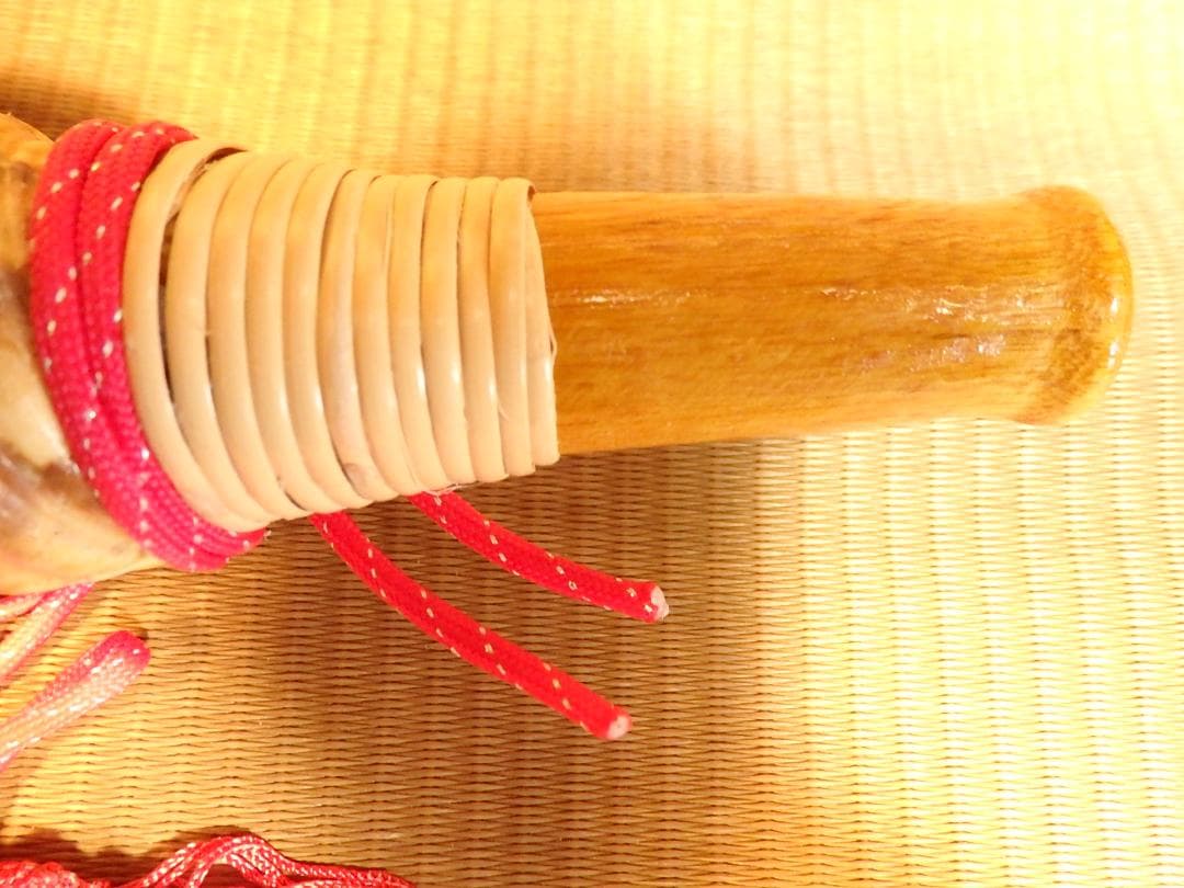 法螺貝 約34㎝ 木製歌口,赤紐付　新品　 MH-435