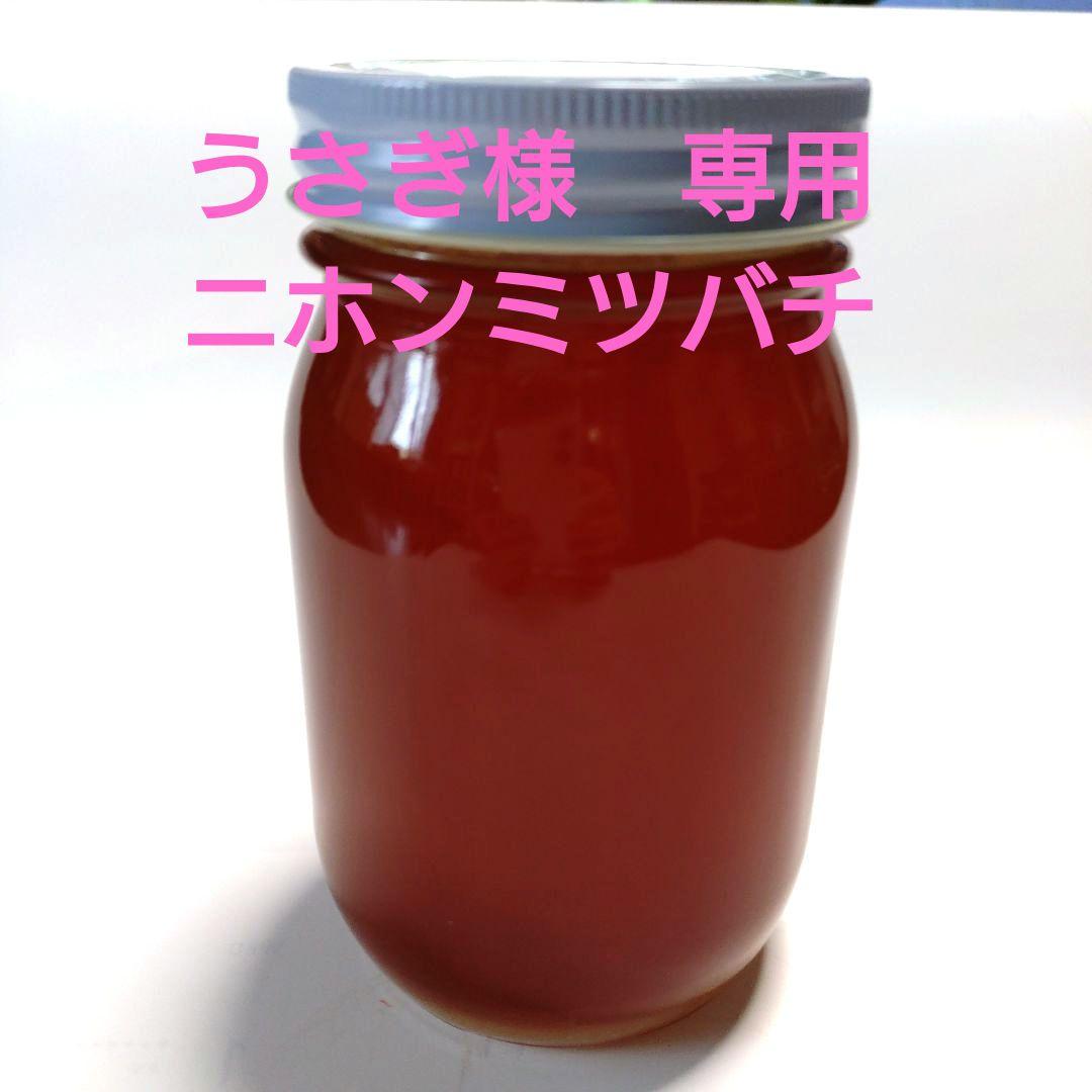 うさぎ　ニホンミツバチ　蜂蜜　信州産　無添加・非加熱　580g×3本