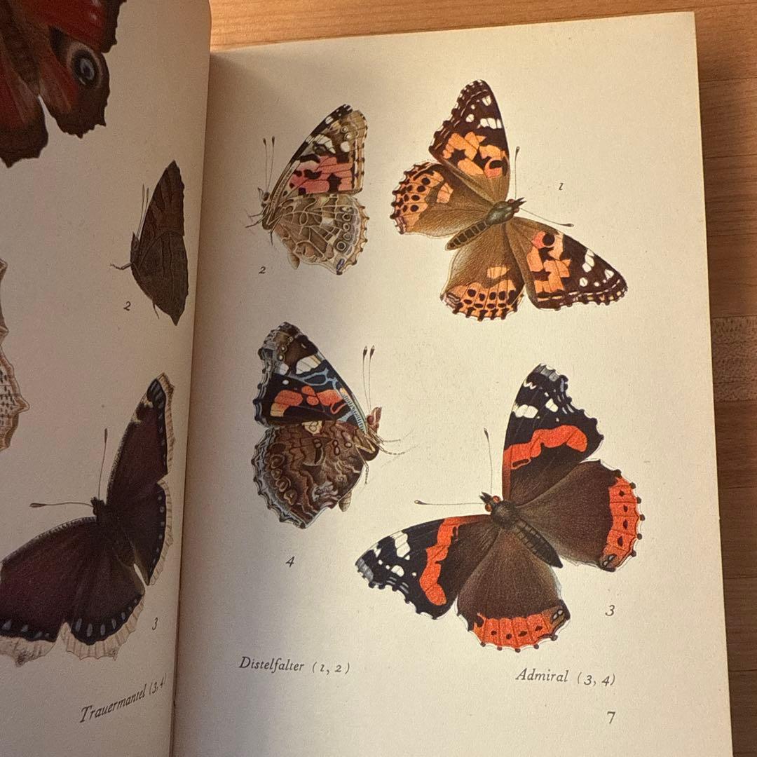 インゼル文庫　ドイツ　10冊