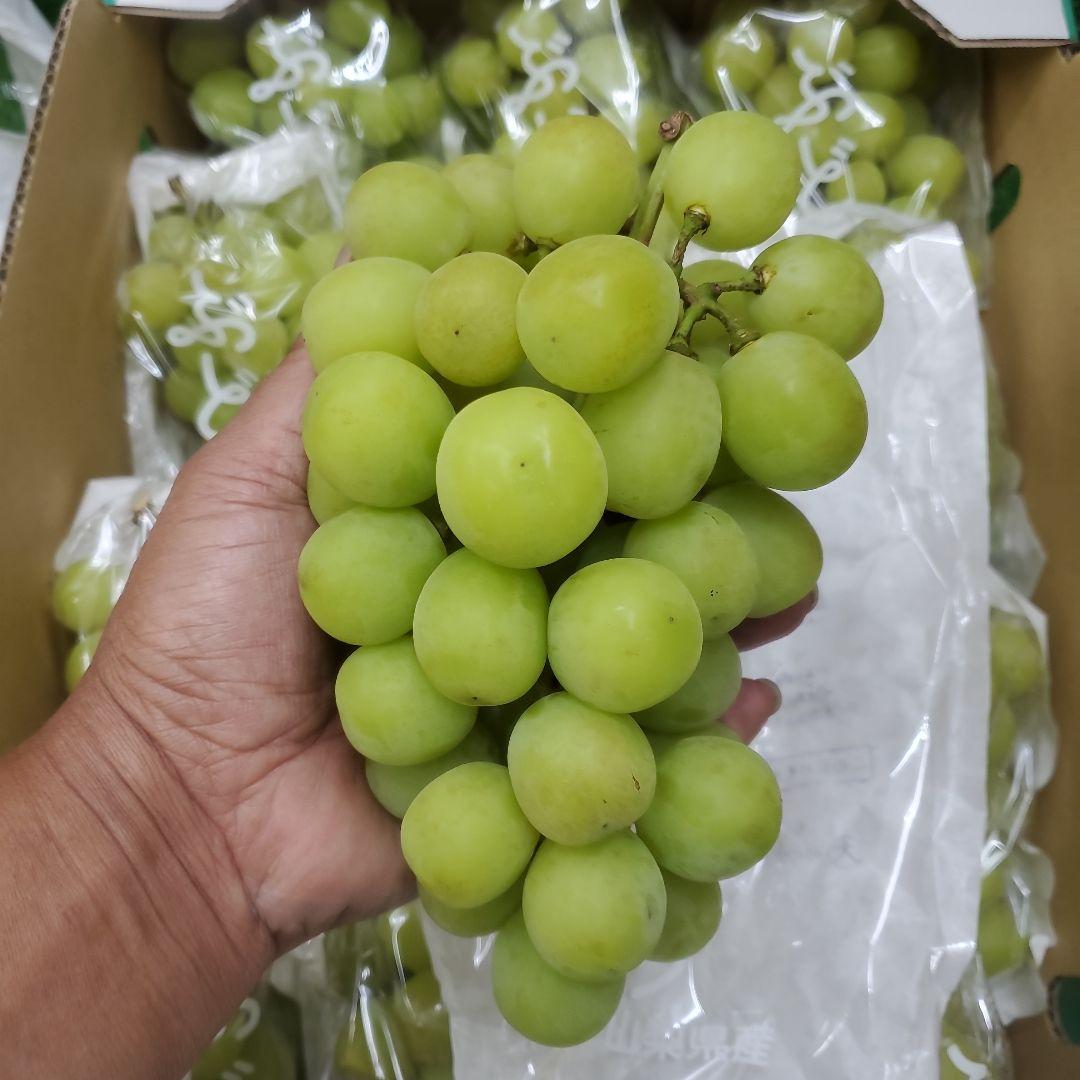 5️⃣ 山梨県産 シャインマスカット １２房入り 箱込み5.4キロ