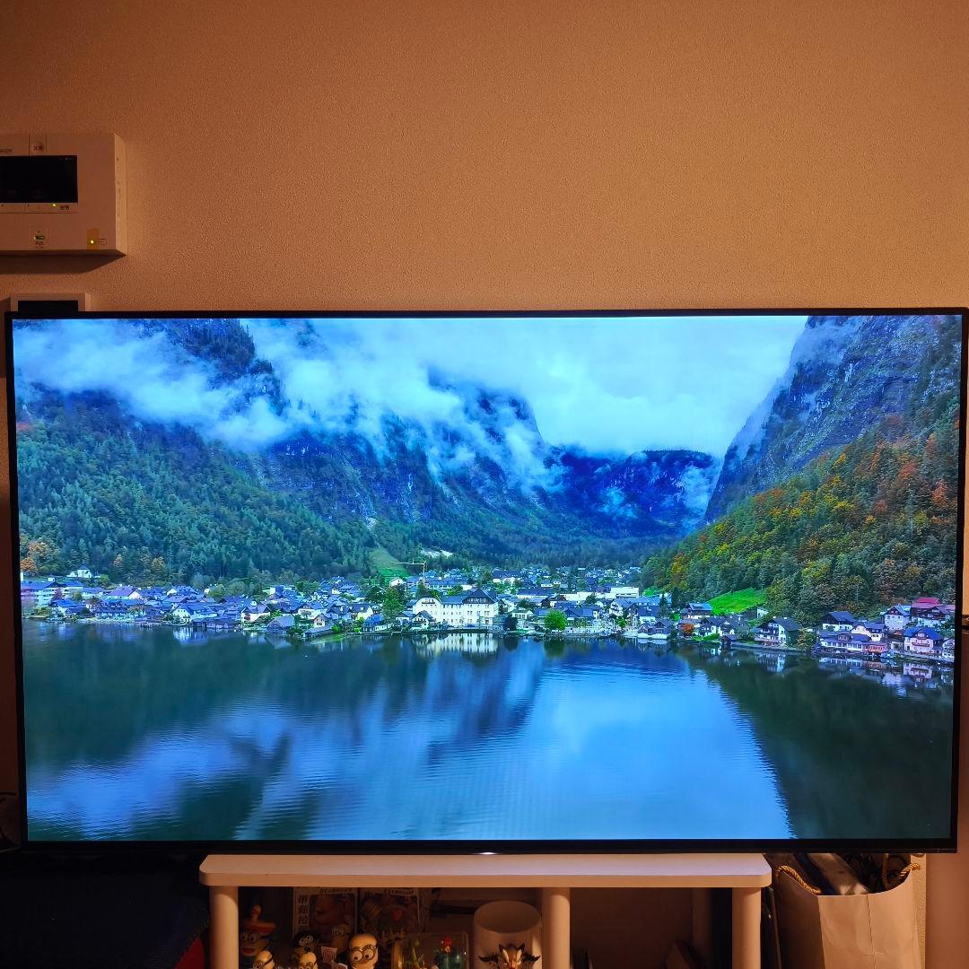 【引取限定特価】SONY 55インチ4K有機EL