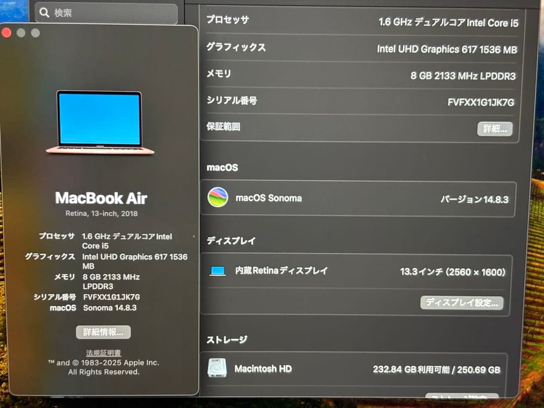MacBook Air 13インチ　Retina 256GB A1932