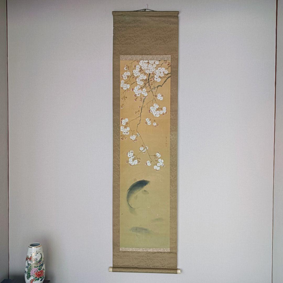 Yocchan 松田杏亭 掛軸 開運 縁起物 おもてなし 鯉 桜 日本美術