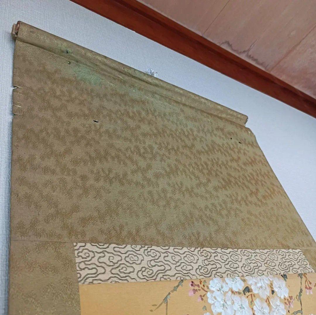 Yocchan 松田杏亭 掛軸 開運 縁起物 おもてなし 鯉 桜 日本美術