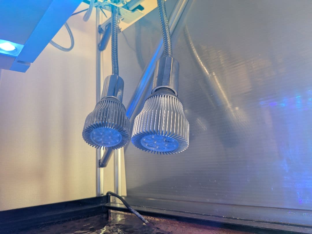 バイタルウェーブ　VitalWave II