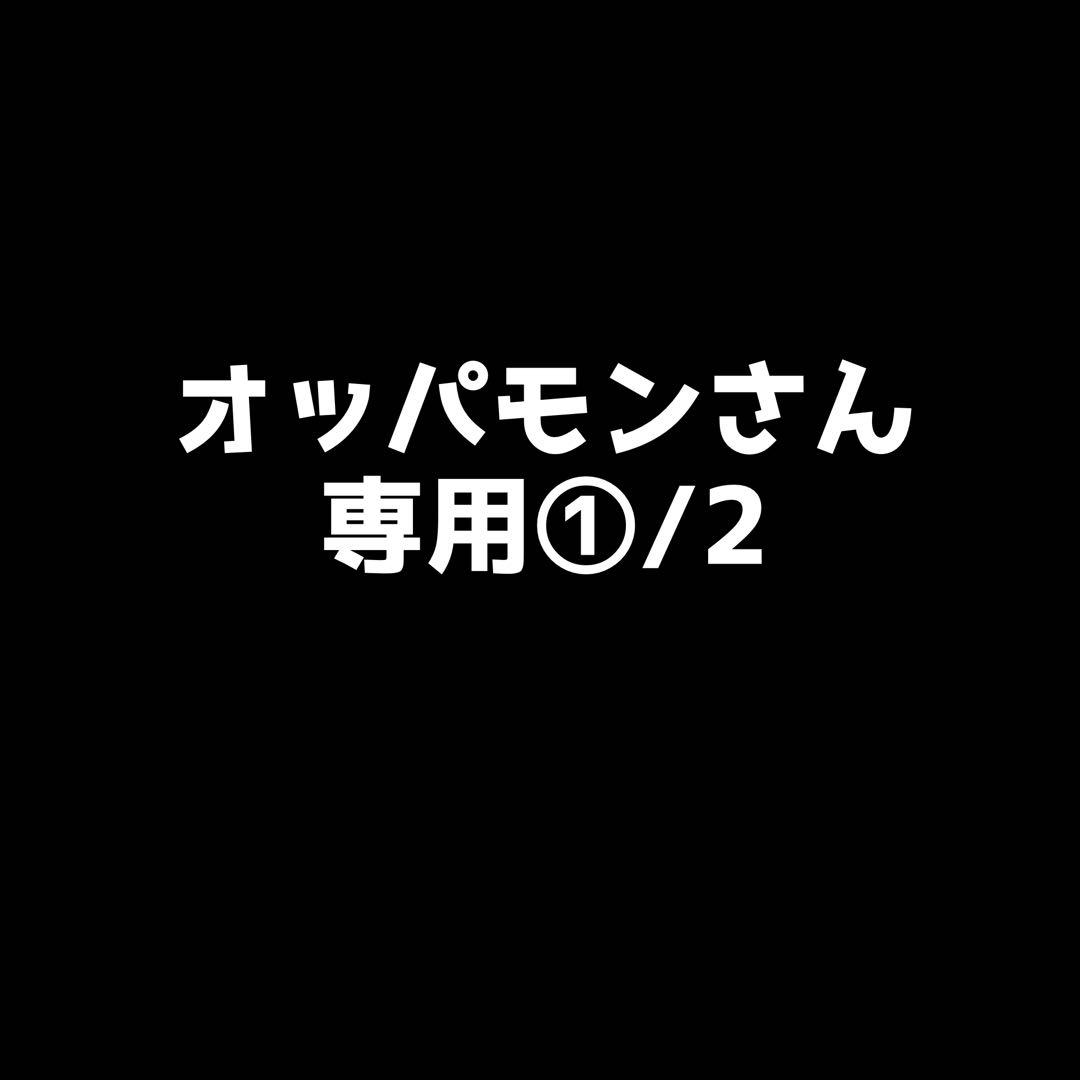 オッパモンさん専用① カメラ本体