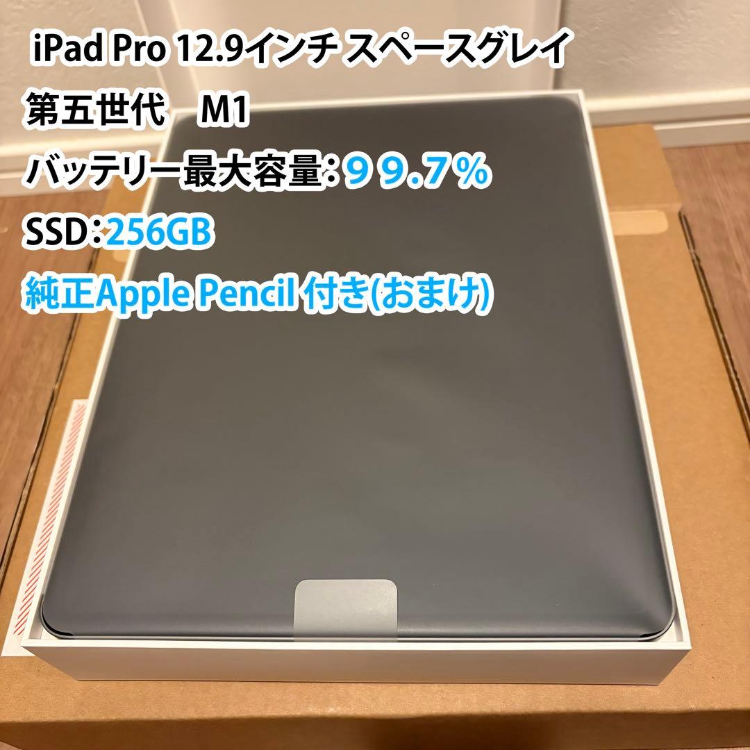 極美品 iPad Pro 12.9インチ M1 256GB アップルペンシル付き