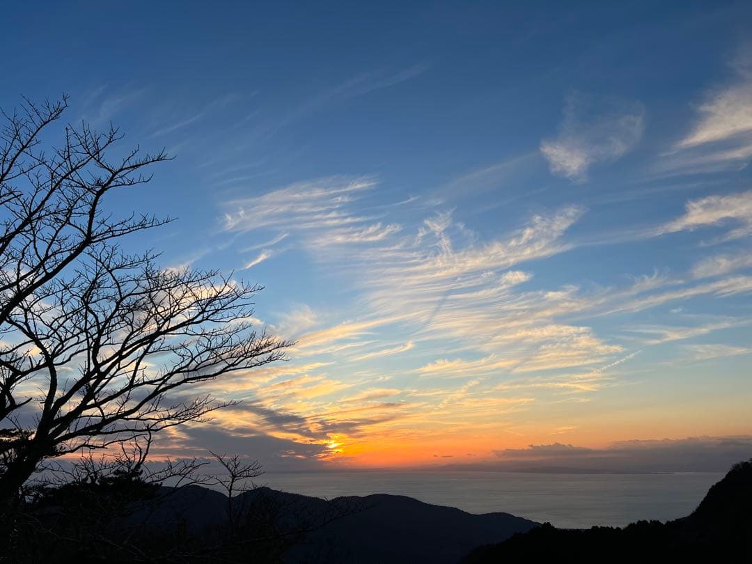 blue＊bird様 orderページ☽⋰