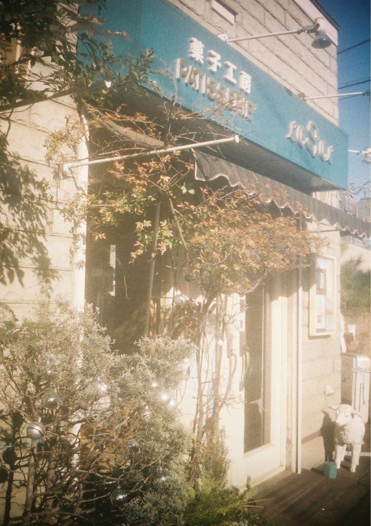 【訳あり＊動作確認・清掃済み＊試写あり】リコーオートハーフS