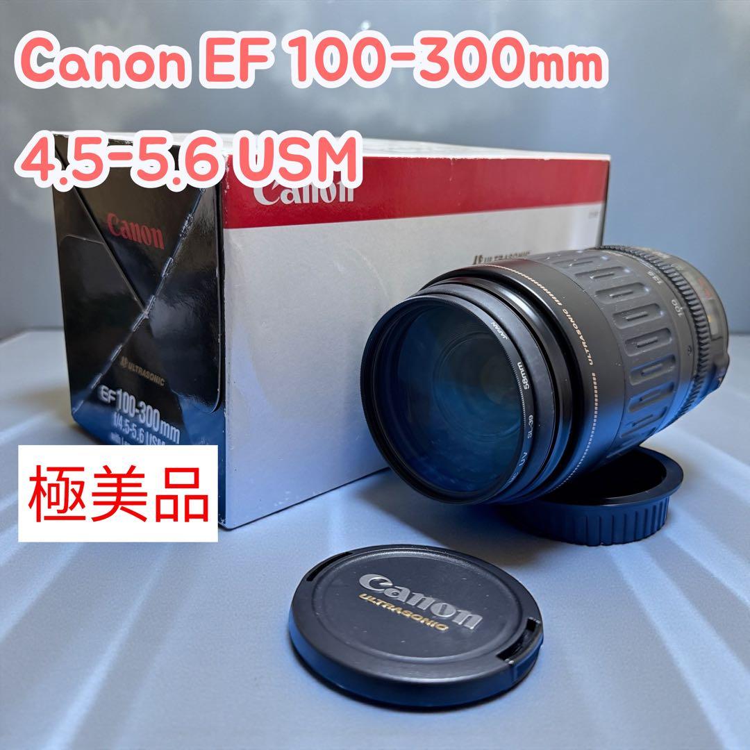 ⭐️極美品⭐️キャノンCanon EF 100-300mm 4.5-5.6 USM