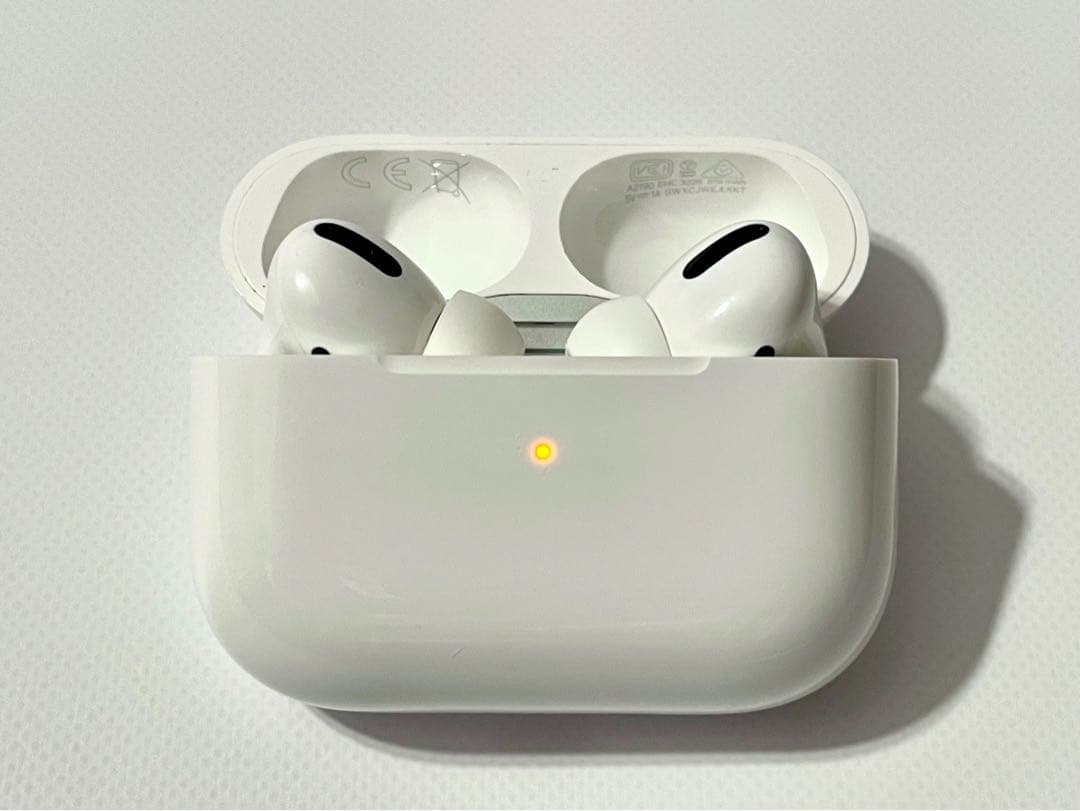 状態良好 AirPods Pro 第1世代 本体・充電ケース