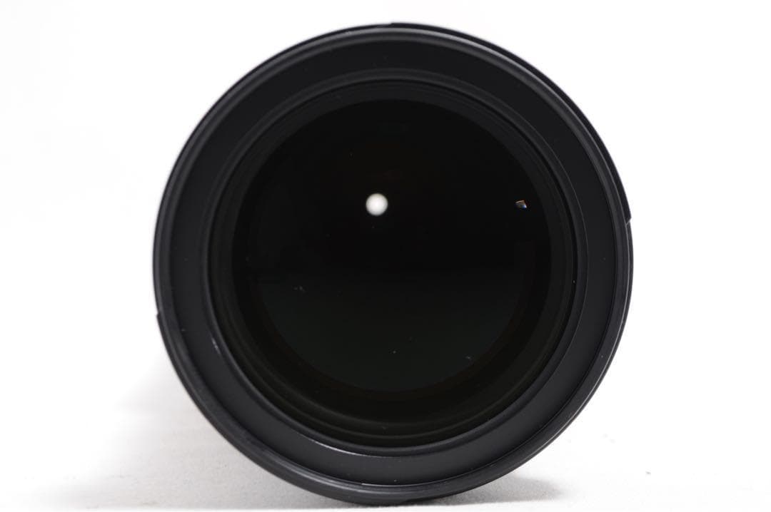 美品❤️これ1本で完結❤️Nikon AF-S NIKKOR 28-300mm