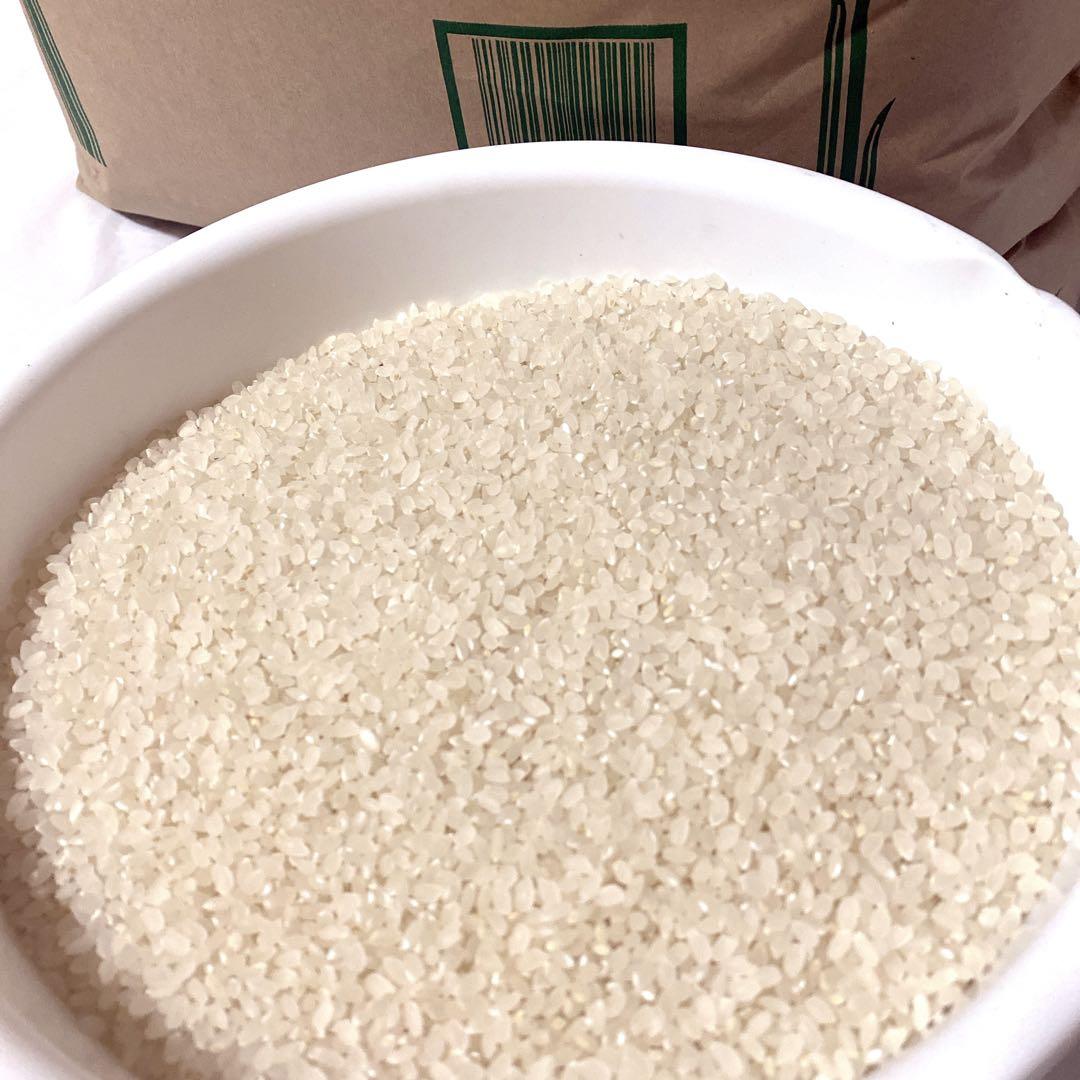 お米　熊本県産　くまさんの輝き　令和7年産　玄米　30キロ　送料込　新米