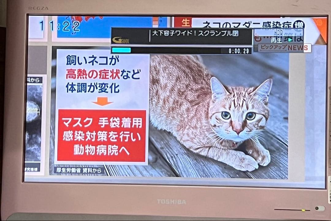 Panasonic DIGA ブルーレイレコーダー 1TB