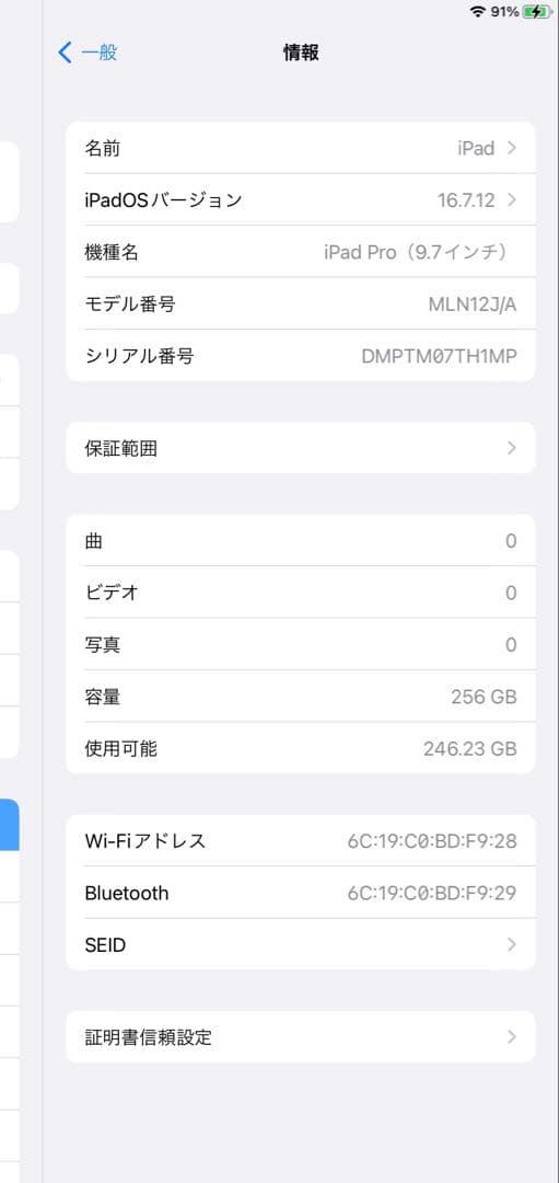 Apple iPad Pro 9.7 256GB 本体