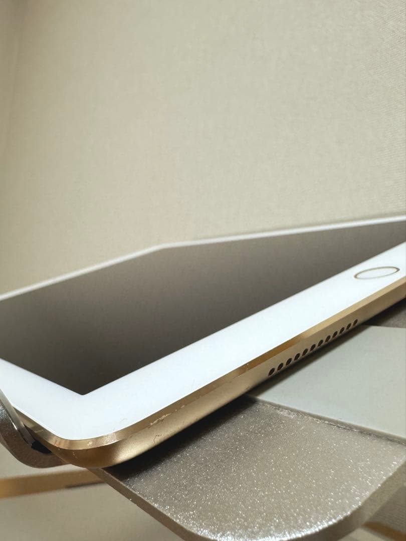 Apple iPad Pro 9.7 256GB 本体