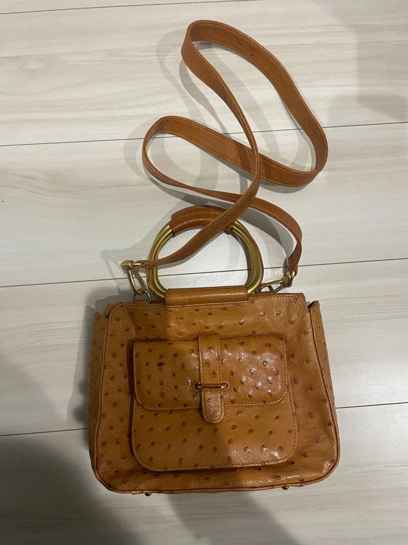 GUCCIオーストリッチレザー ショルダーバッグ ハンドバッグ