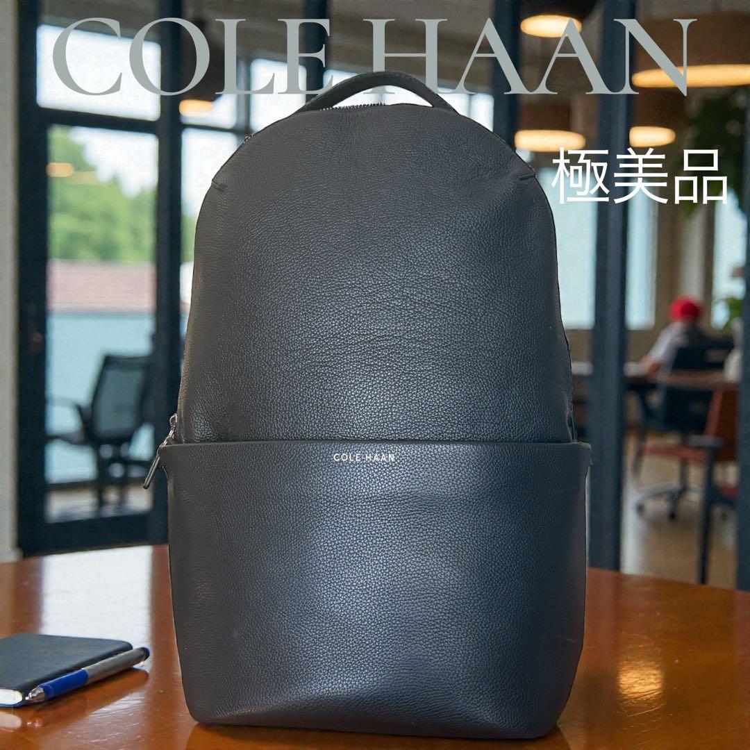 COLE HAAN コールハーン　本革　リュック 黒 大容量 通勤　バックパック