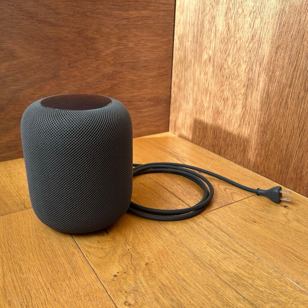 【ジャンク】Apple Pod 第一世代スペースグレー