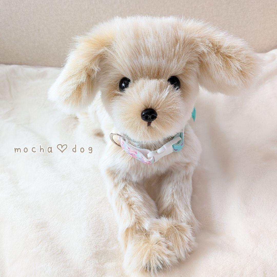＊mocha♡dog＊ mixdog(M)☆ぬいぐるみわんこ 犬　 ハンドメイド
