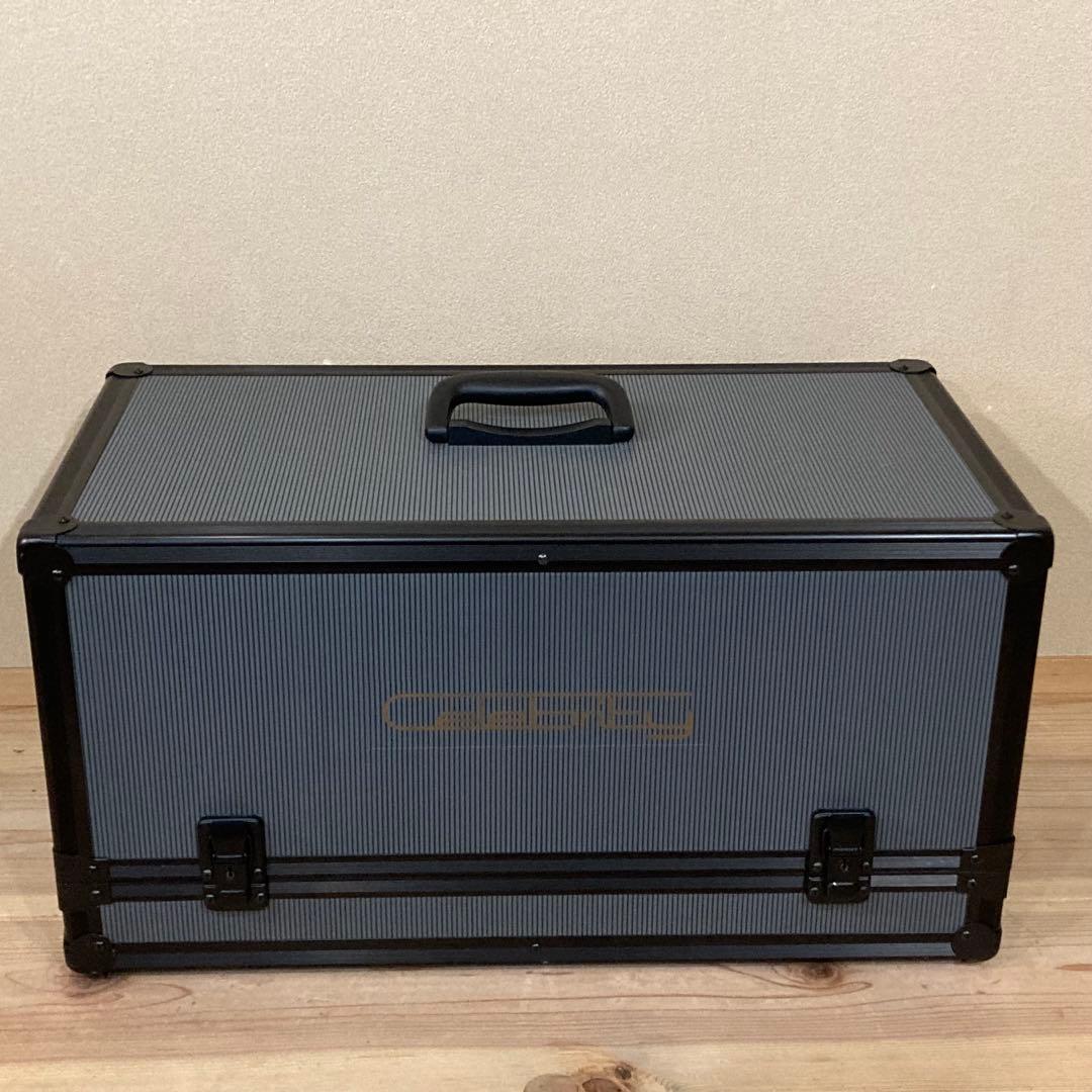 激レア　SONY Celebrity D-3000 の　専用ハードケース　ソニー