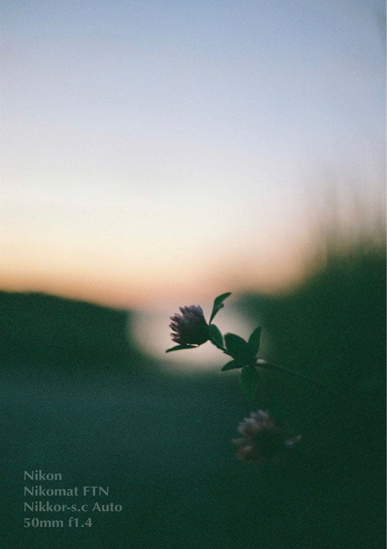 ニコン FTN &ニッコール f1.4★完動品！動作確認済＊返品保証付＊作例多数