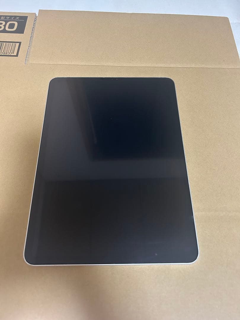 Apple iPad Pro (11インチ) 第2世代 128GB