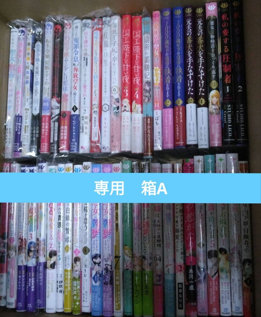 Asami Matsuo  箱26A