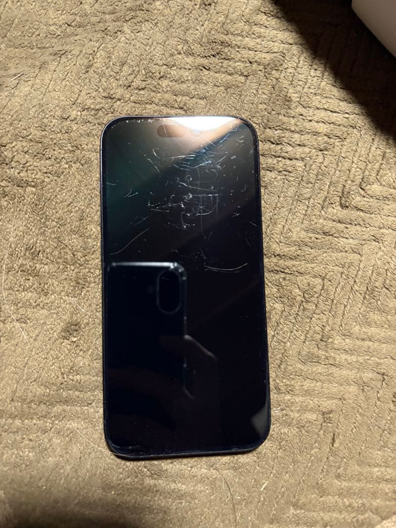 Apple iPhone 15 Pro 本体 使用可能