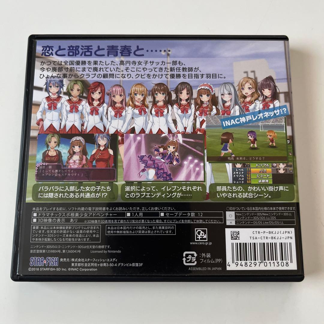 高円寺女子サッカー3 ~恋するイレブン いつかはヘブン~ - 3DS