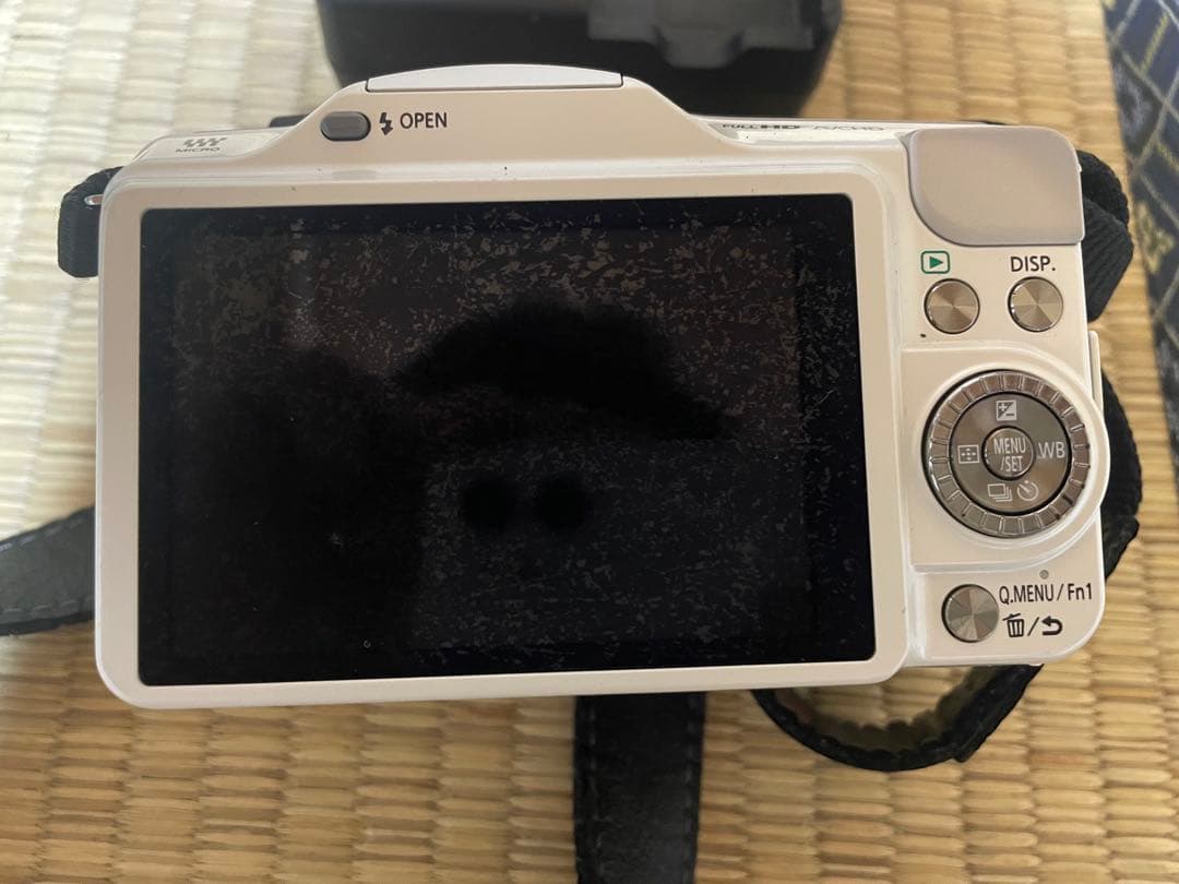 Panasonic LUMIX DMC-GF5 パナソニック 14-42mm