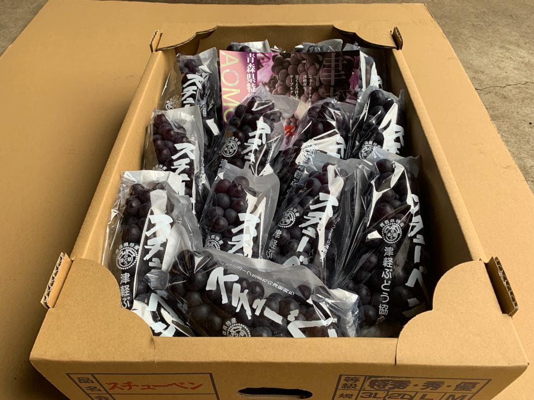 【連休値引】青森県津軽地方産ぶどう　つるたスチューベン　約１０キロ　ご家庭贈答用