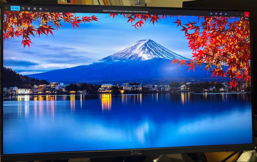 Dell P2421D プロフェッショナルシリーズ 23.8インチ 2021年製