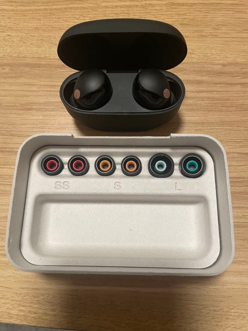 SONY wf-1000xm5 ジャンク品