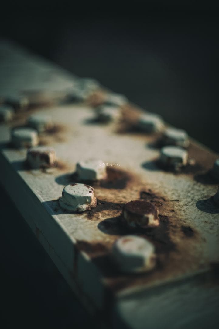 羽瀬川様Super-Takumar 50mm f1.4 前期 オールドレンズ