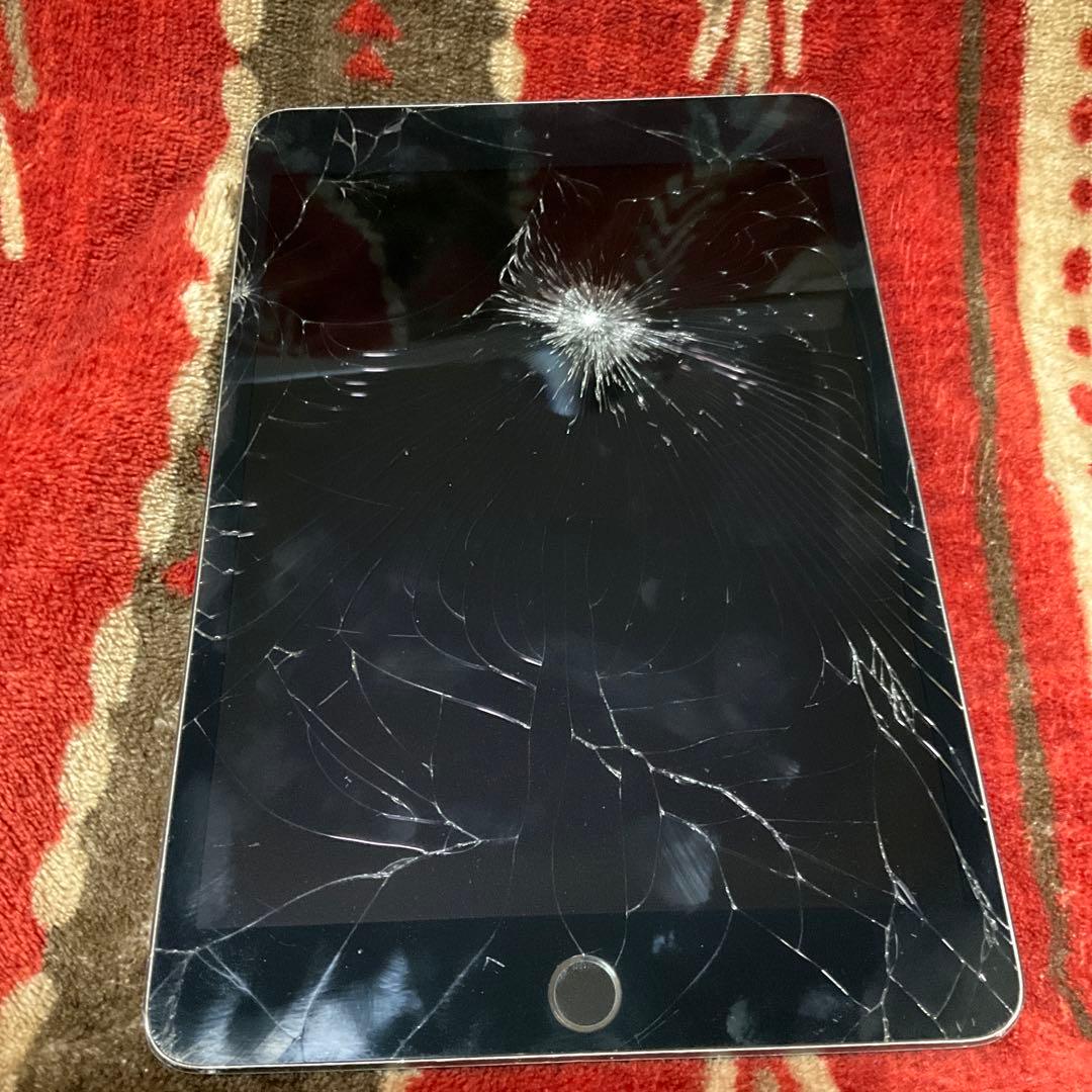 iPad本体 Apple iPad mini 5 256GB cellular