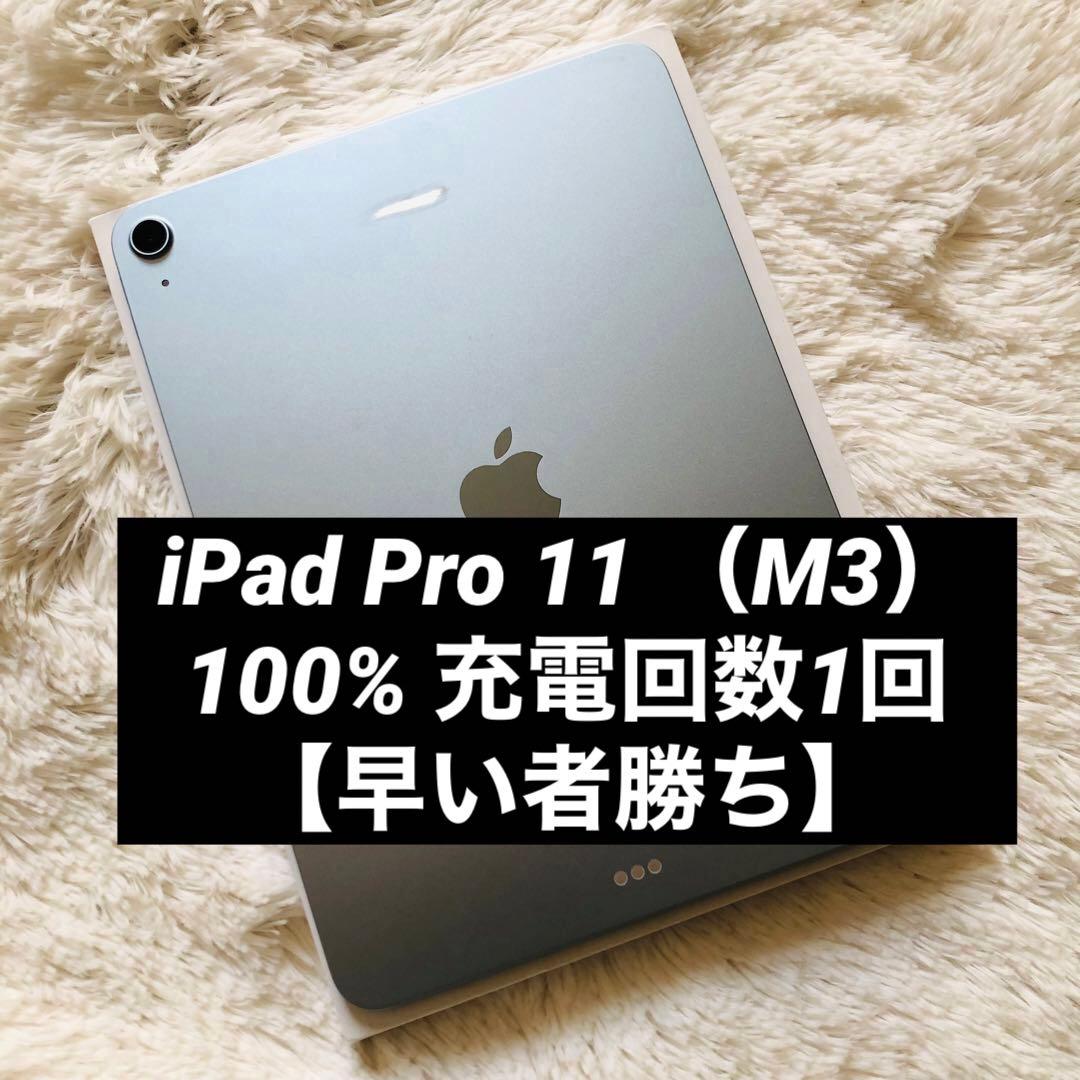 【12/15販売終了】iPad Air 11インチ （M3）【すぐ発送】