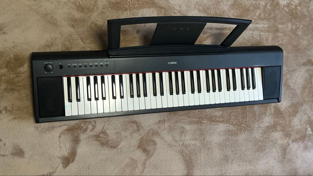 その他 YAMAHA NP-11